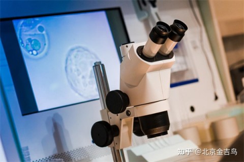 细数醋酸甲羟孕酮片的功效，5大作用女性必须得了解